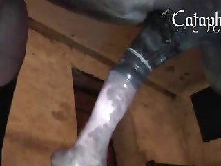 Zoo Red Tube