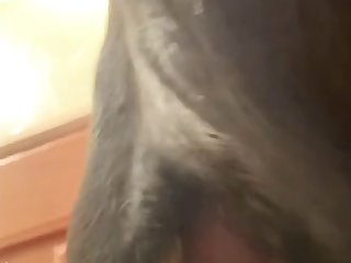 Man Fuck Dog In Car