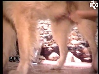 Trans Girl Fuck Dog