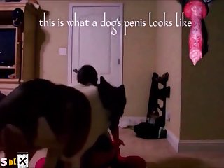 Lara Croft Dog Fuck