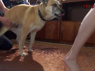 My Wife Fuck Dog
