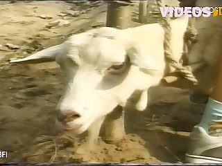 Mom Helps Daughter Fuck Dog