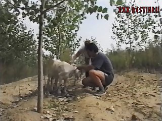 Wife Wants To Fuck The Dog