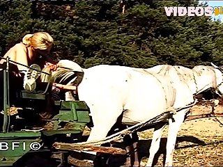 Guy Fuck Dog Pussy Porn