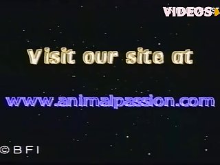 Man Fuck Dog Asshole