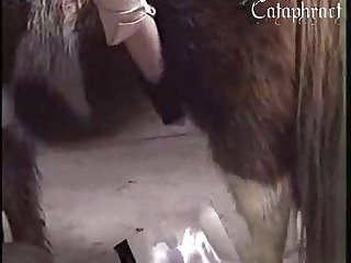 Why My Dog Licks His Anus