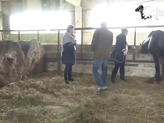 Worlds Biggest Dog Cock