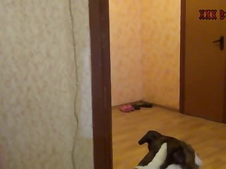 Real Animal Sex Porn