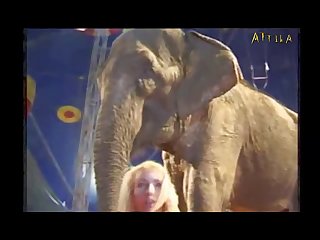 Animal Movie Tripti Sex Scene