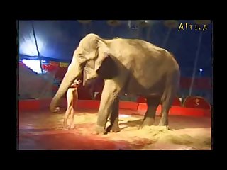 Animal Open Sex