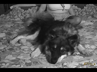 Animal Planet Sex Song