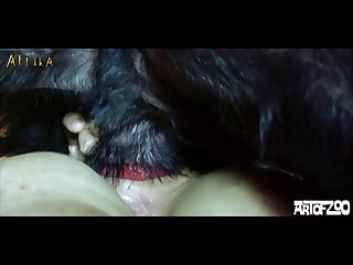 Animal Sex Dogs Sex With Dog Beast Fuck