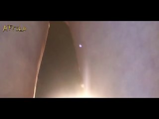 Gay Animal Sex With Men