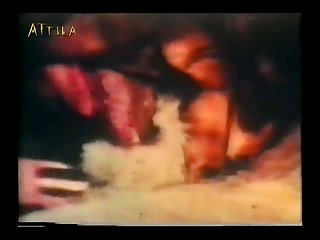 Animal Sex Slave