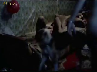 Animal With Animals Sex Video