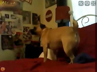 Wild Sex The Science Behind Mating In The Animal Kingdom