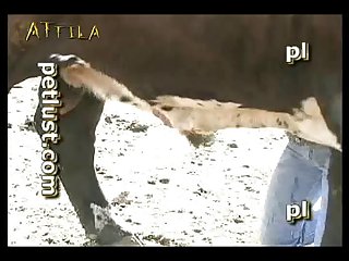 Sex With Animal Monkey
