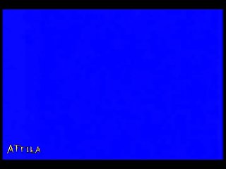 Video Sex Animal Vs Girl