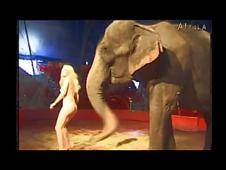 I Can't Sleep With This Sex Animal