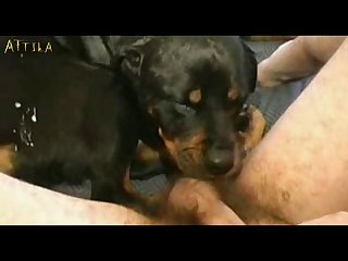 Animal And Woman Hot Sex
