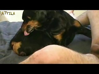 Animal And Woman Hot Sex