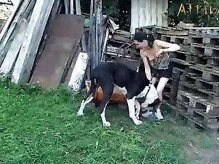 Animal Movie Porn Clips