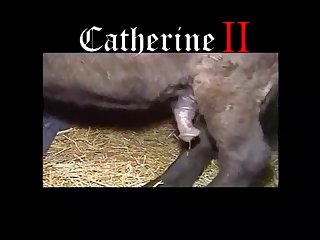 Animal Furry Porn Comic