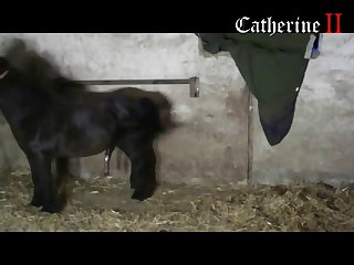 Man Fucking Female Animal Porn