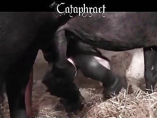 Teen Animal Porn Videos