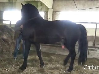 Animal With Porn Sex