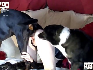 Caballos Xxx Zoofilia