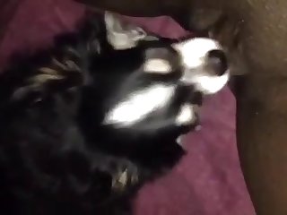 Bigbootylatinass Selena Xxx Porn