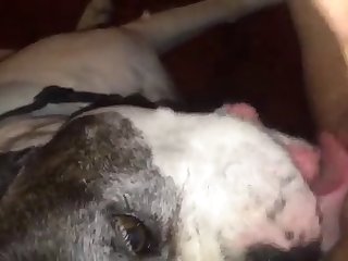 Awek Tik Tok Xxx Porn