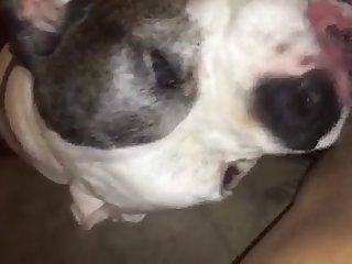 Awek Tik Tok Xxx Porn