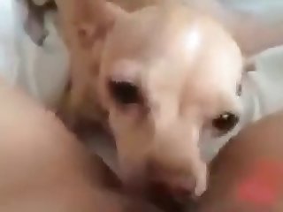 Family Therapy Xxx Porn Site