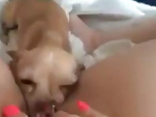 Family Therapy Xxx Porn Site