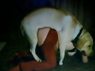 My Hero Academia Uraraka Gifs Porn Xxx