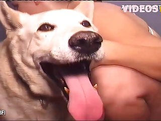 Pornhub Animal Kingdom