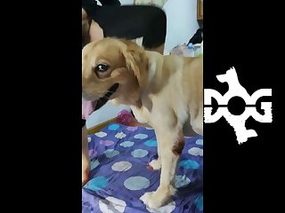 Xnxx Porn Sex Xxx