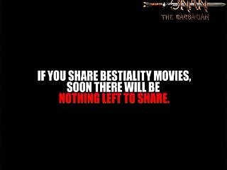 Interesting Animal Sex Facts