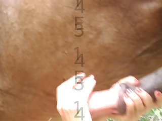 Pretty Teen Dog Porn