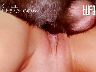 Dog Porn Compilationtrackid=sp 006