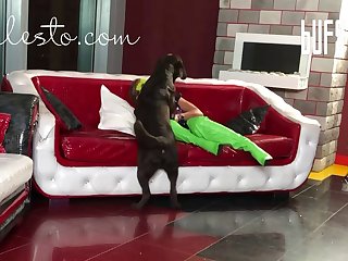 Zoophilie Sex Filme