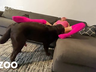 Sex Mit Zoophilie