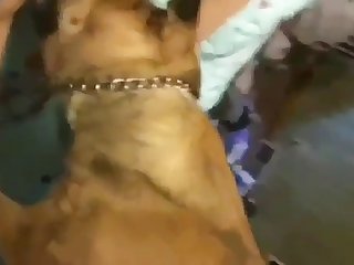 Video De Sexo Mulatas