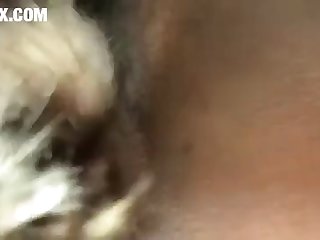 Mare Pussy Fucked