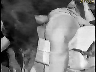 Animal Porn Video