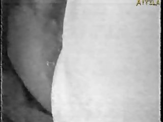Animal Porn Video